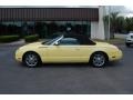 Inspiration Yellow - Thunderbird Premium Roadster Photo No. 2