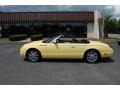 Inspiration Yellow - Thunderbird Premium Roadster Photo No. 4