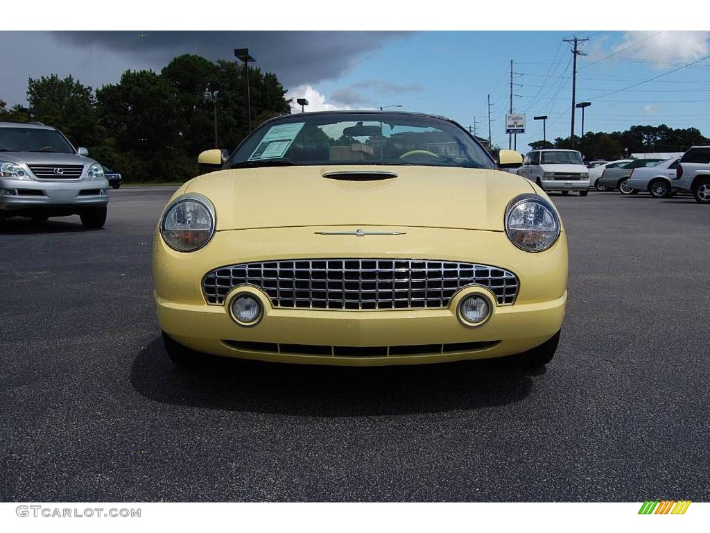 2002 Thunderbird Premium Roadster - Inspiration Yellow / Inspiration Yellow photo #17