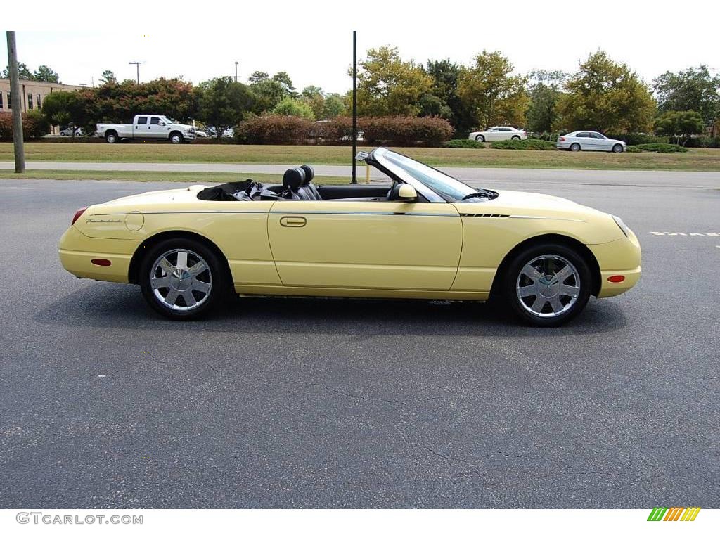 2002 Thunderbird Premium Roadster - Inspiration Yellow / Inspiration Yellow photo #18