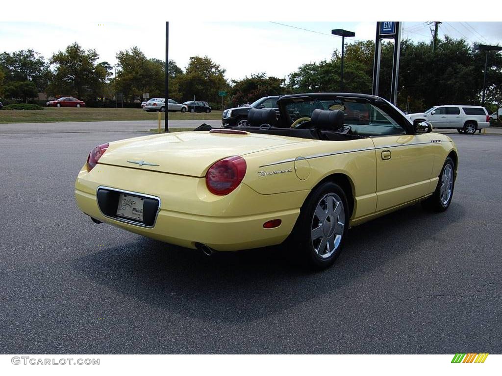 2002 Thunderbird Premium Roadster - Inspiration Yellow / Inspiration Yellow photo #19