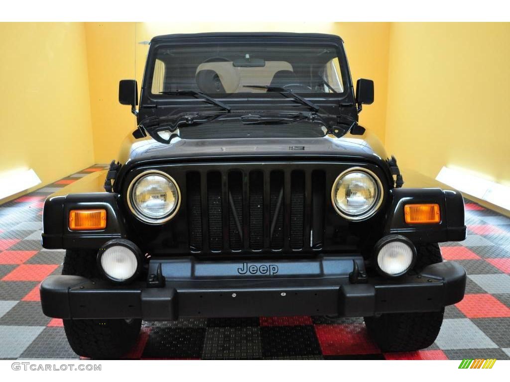 2002 Wrangler Sahara 4x4 - Black / Camel Beige/Dark Green photo #2