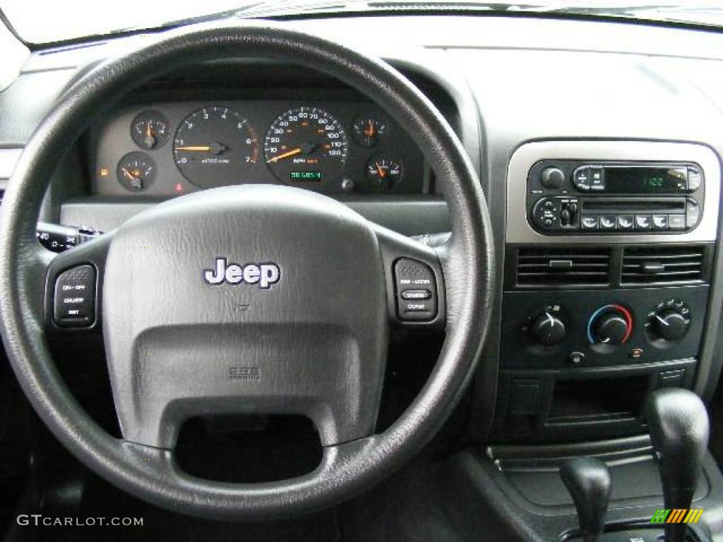 2004 Grand Cherokee Laredo 4x4 - Graphite Metallic / Dark Slate Gray photo #14