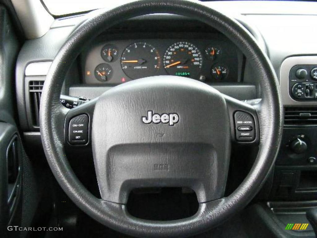 2004 Grand Cherokee Laredo 4x4 - Graphite Metallic / Dark Slate Gray photo #15