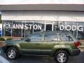 Jeep Green Metallic - Grand Cherokee Laredo Photo No. 1
