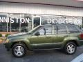 Jeep Green Metallic - Grand Cherokee Laredo Photo No. 3