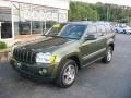 Jeep Green Metallic - Grand Cherokee Laredo Photo No. 6