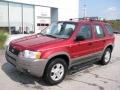 2001 Toreador Red Metallic Ford Escape XLT V6 4WD  photo #2