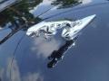 Ebony Black - XJ XJR Photo No. 30