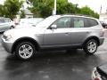 Silver Grey Metallic - X3 3.0i Photo No. 2