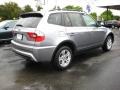 Silver Grey Metallic - X3 3.0i Photo No. 5