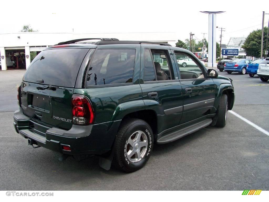 2004 TrailBlazer LS 4x4 - Dark Green Metallic / Medium Pewter photo #5