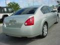 Liquid Silver Metallic - Maxima 3.5 SL Photo No. 3