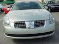 Liquid Silver Metallic - Maxima 3.5 SL Photo No. 8
