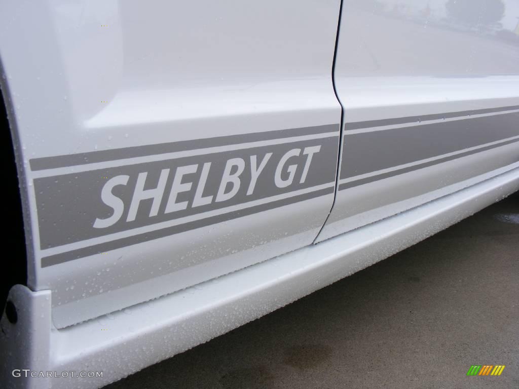2007 Mustang Shelby GT Coupe - Performance White / Dark Charcoal photo #17