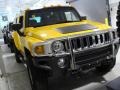 Yellow - H3  Photo No. 3