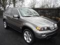 Sterling Grey Metallic - X5 4.4i Photo No. 1