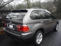 Sterling Grey Metallic - X5 4.4i Photo No. 2
