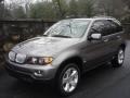 Sterling Grey Metallic - X5 4.4i Photo No. 3