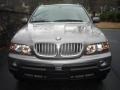 Sterling Grey Metallic - X5 4.4i Photo No. 11