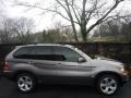 Sterling Grey Metallic - X5 4.4i Photo No. 13