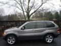 Sterling Grey Metallic - X5 4.4i Photo No. 14