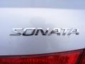 Bright Silver - Sonata GLS V6 Photo No. 17
