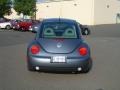 2002 Platinum Grey Metallic Volkswagen New Beetle GLS Coupe  photo #7