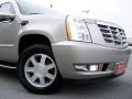 Quicksilver - Escalade AWD Photo No. 8