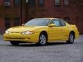 2002 Competition Yellow Chevrolet Monte Carlo LS  photo #1