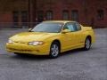 2002 Competition Yellow Chevrolet Monte Carlo LS  photo #10