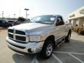 Bright Silver Metallic - Ram 1500 SLT Regular Cab 4x4 Photo No. 7
