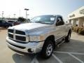 2002 Bright Silver Metallic Dodge Ram 1500 SLT Regular Cab 4x4  photo #7