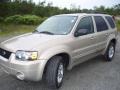 Dune Pearl Metallic 2007 Ford Escape Hybrid 4WD