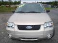 Dune Pearl Metallic - Escape Hybrid 4WD Photo No. 2