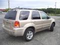 2007 Dune Pearl Metallic Ford Escape Hybrid 4WD  photo #4