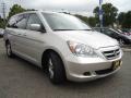 2005 Silver Pearl Metallic Honda Odyssey EX-L  photo #7