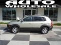 2007 Desert Sage Metallic Hyundai Tucson SE  photo #1