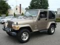 Light Khaki Metallic - Wrangler Sahara 4x4 Photo No. 3