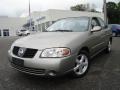 Radium Gray - Sentra 2.5 S Photo No. 1