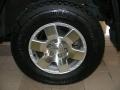Titanium Metallic - FJ Cruiser 4WD Photo No. 23