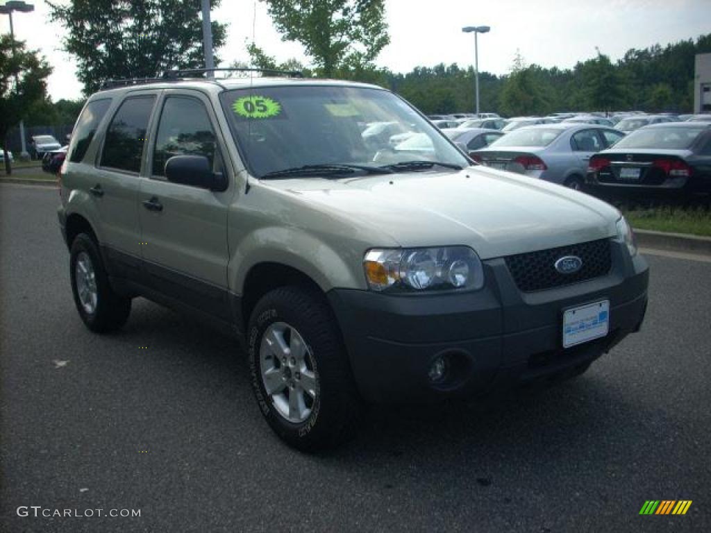 2005 Escape XLT V6 4WD - Gold Ash Metallic / Medium/Dark Pebble Beige photo #1