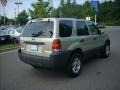 2005 Gold Ash Metallic Ford Escape XLT V6 4WD  photo #3