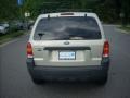 2005 Gold Ash Metallic Ford Escape XLT V6 4WD  photo #4