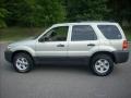 2005 Gold Ash Metallic Ford Escape XLT V6 4WD  photo #6