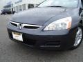 2006 Graphite Pearl Honda Accord EX-L Sedan  photo #9