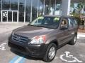 Sahara Sand Metallic - CR-V LX Photo No. 4