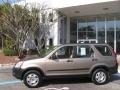 Sahara Sand Metallic - CR-V LX Photo No. 5