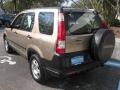 Sahara Sand Metallic - CR-V LX Photo No. 6