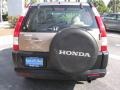 Sahara Sand Metallic - CR-V LX Photo No. 8